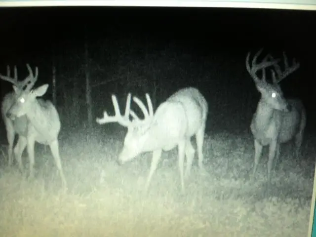 GG ROAD, Iola, WI 54945 - Image #2