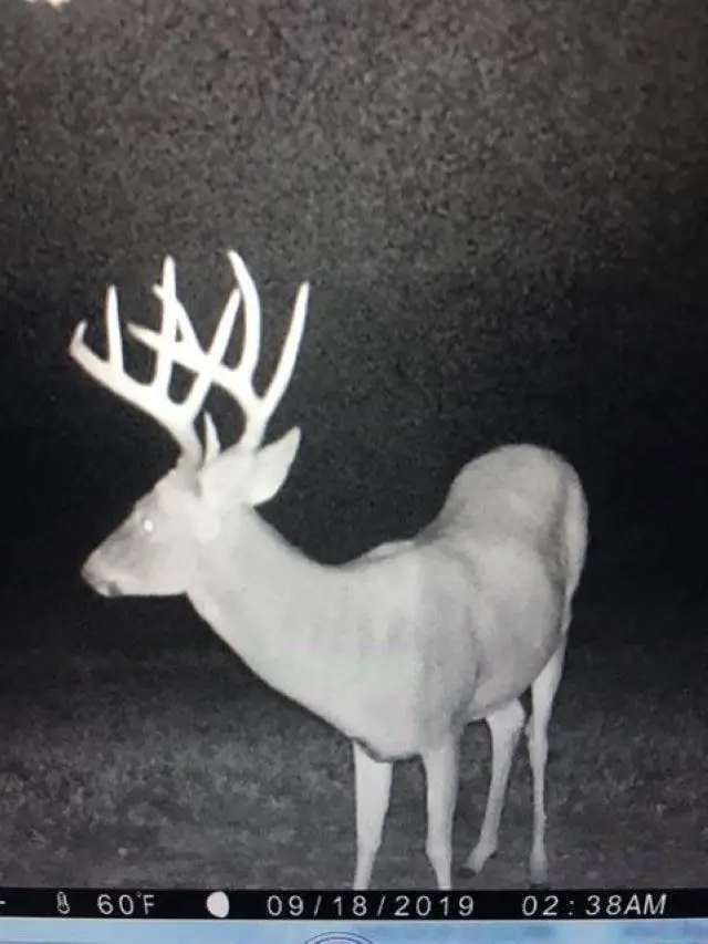 GG ROAD, Iola, WI 54945 - Image #3