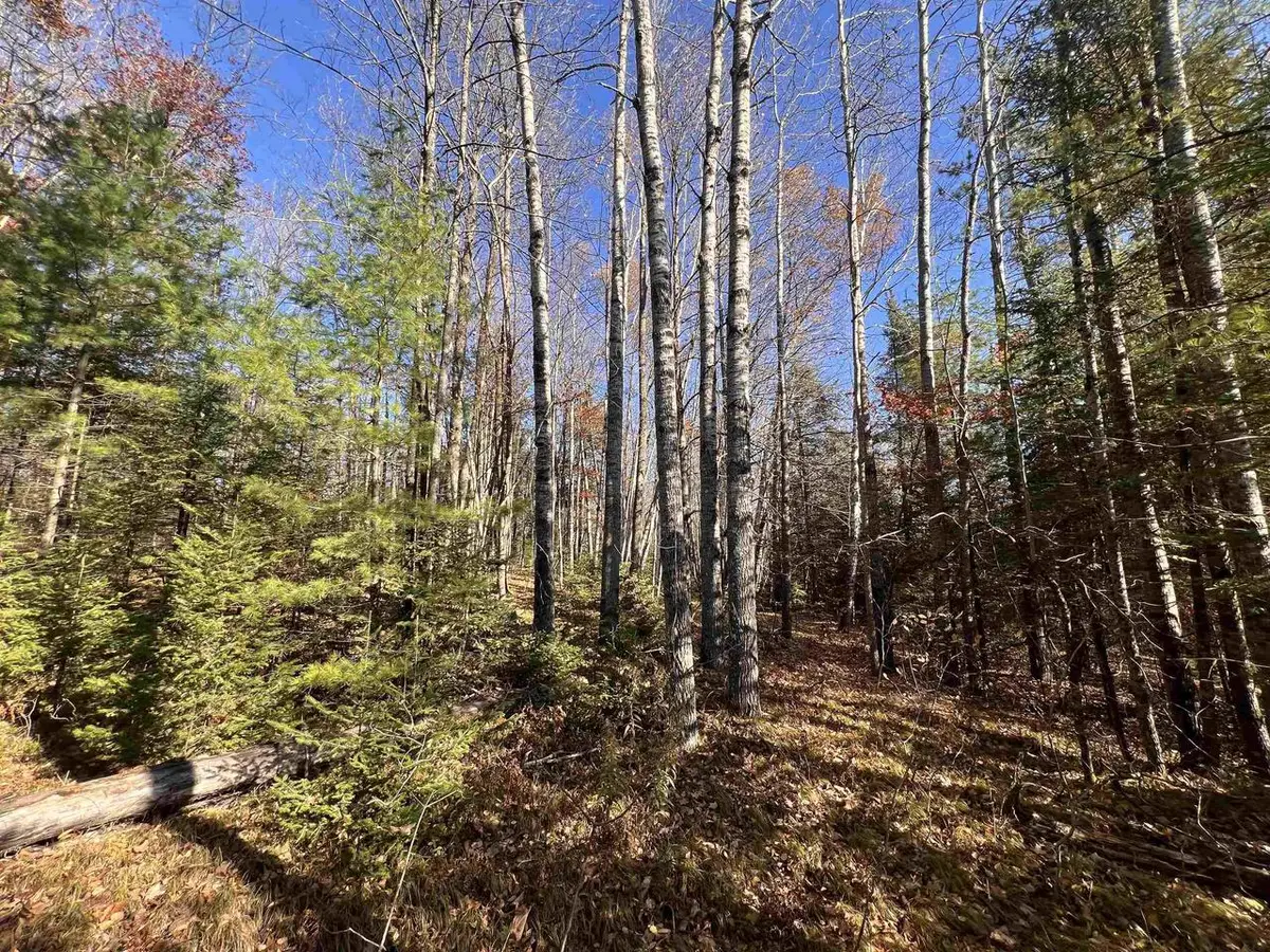 JOSSART ROAD, Pembine, WI 54156 - Image #1