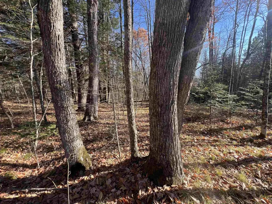 JOSSART ROAD, Pembine, WI 54156 - Image #2