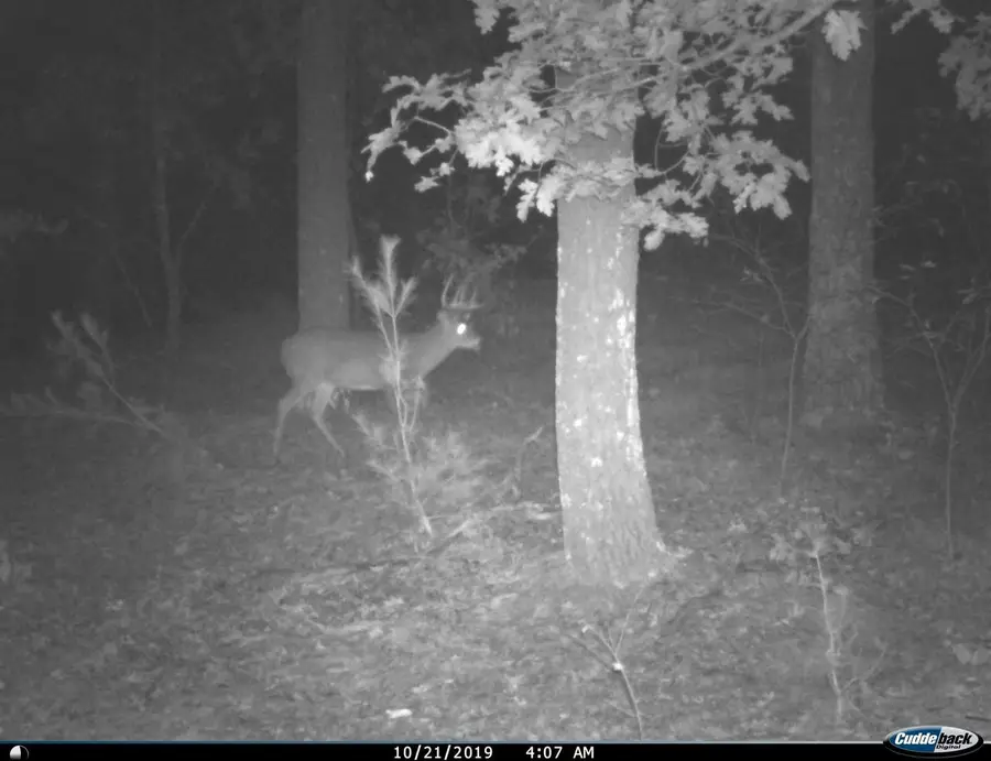 8752 HWY A, Almond, WI 54909 - Image #2