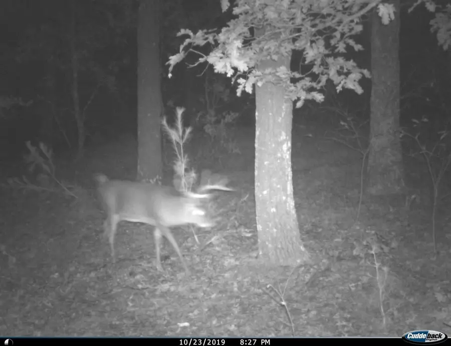 8752 HWY A, Almond, WI 54909 - Image #3