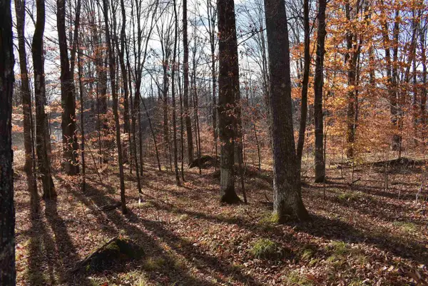 N13315 HARPER ROAD, Athelstane, WI 54104