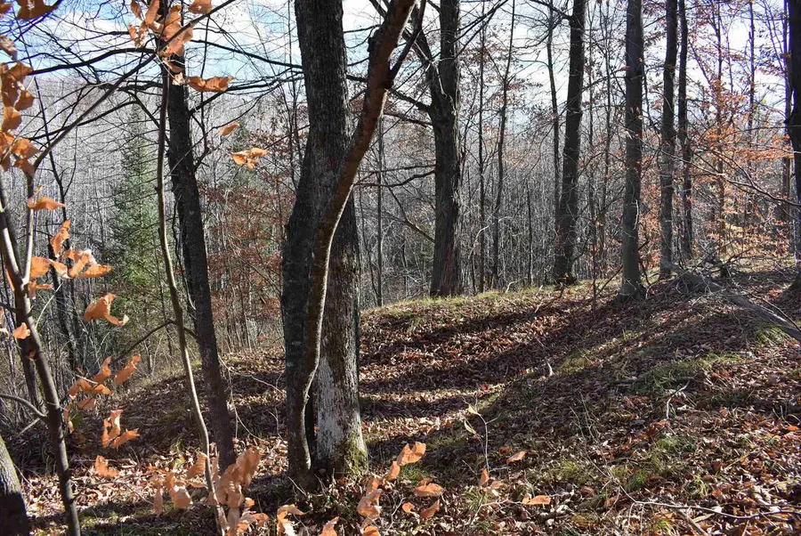 N13315 HARPER ROAD, Athelstane, WI 54104 - Image #2