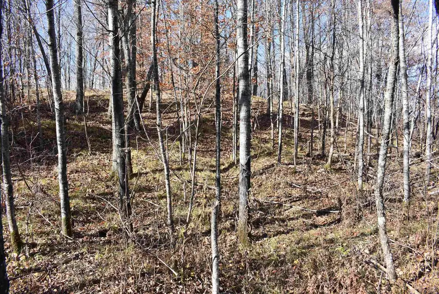 N13315 HARPER ROAD, Athelstane, WI 54104 - Image #3