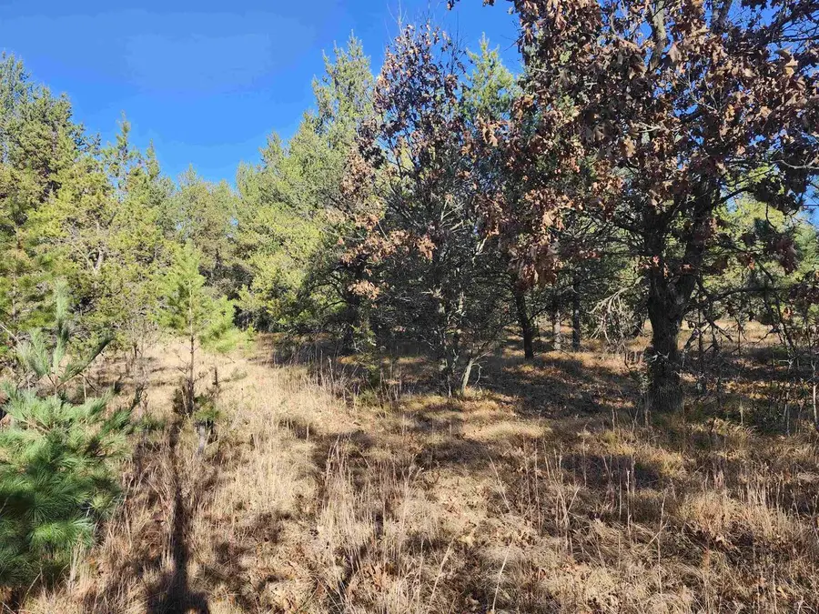 CZECH AVENUE, Coloma, WI 54930 - Image #3