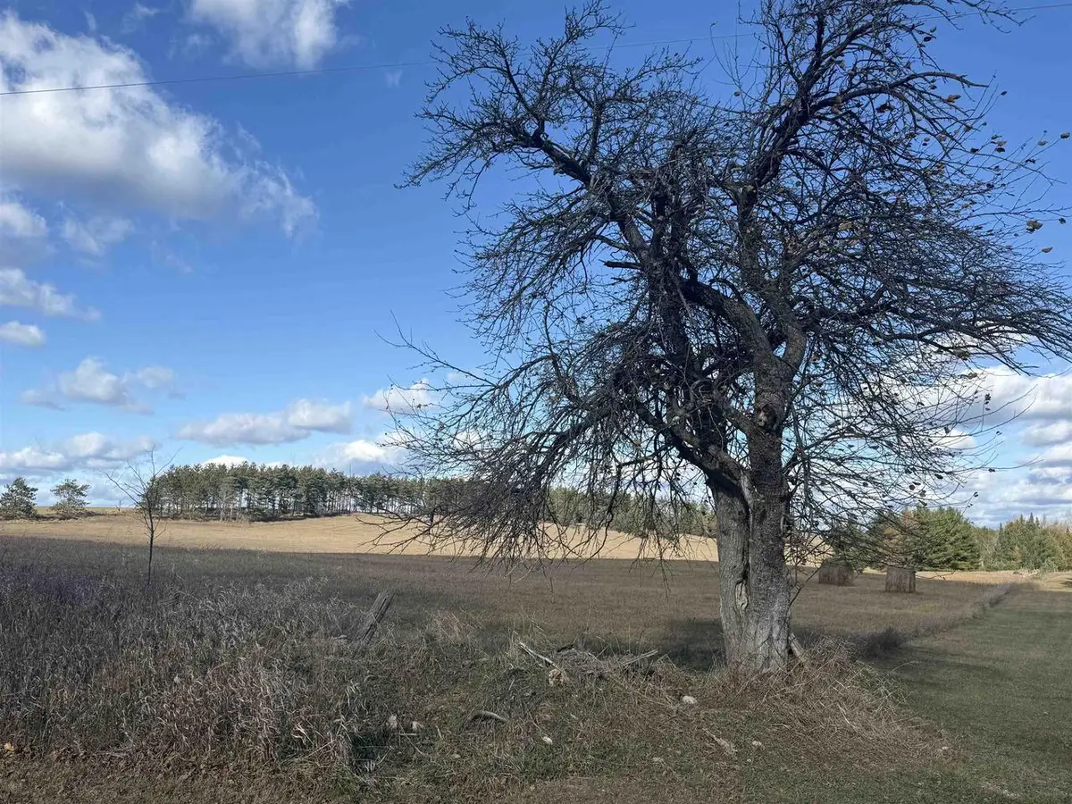 31.75 ROAD, Carney, MI 49812 - Image #1