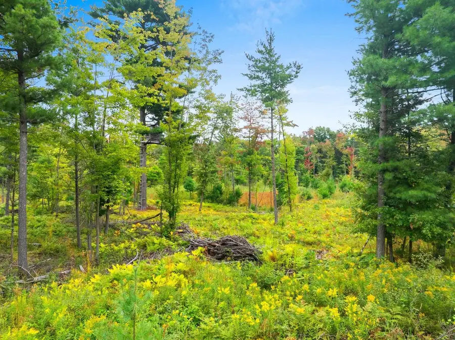 CTY RD B, Marinette, WI 54143 - Image #2