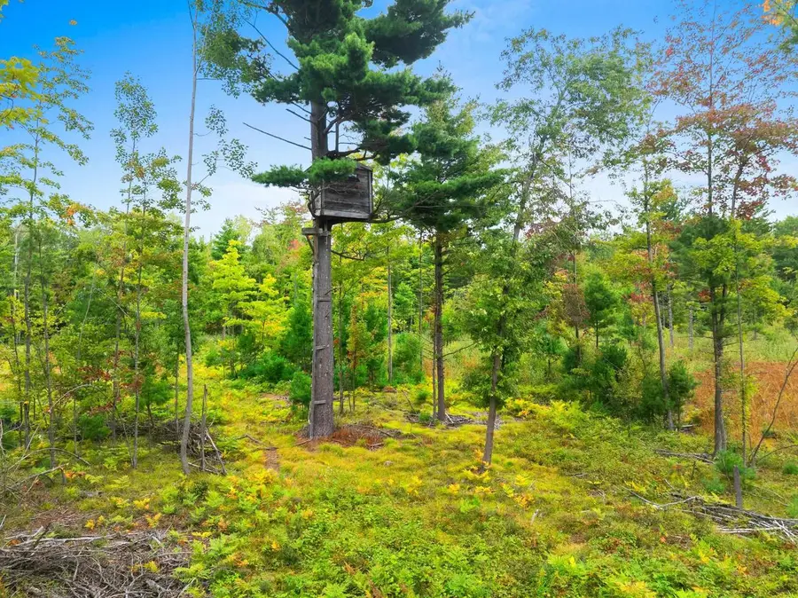 CTY RD B, Marinette, WI 54143 - Image #3