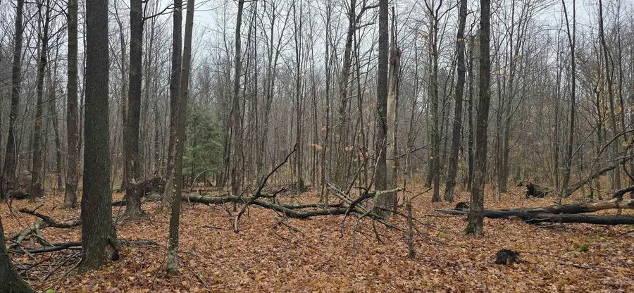 N COUNTY ROAD WW, Merrill, WI 54452 - Image #3