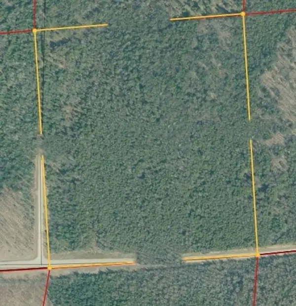 COUNTY 366 ROAD, Cedar River, MI 49887