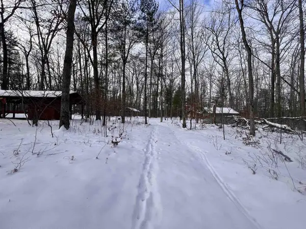 COUNTY P ROAD, Pound, WI 54161