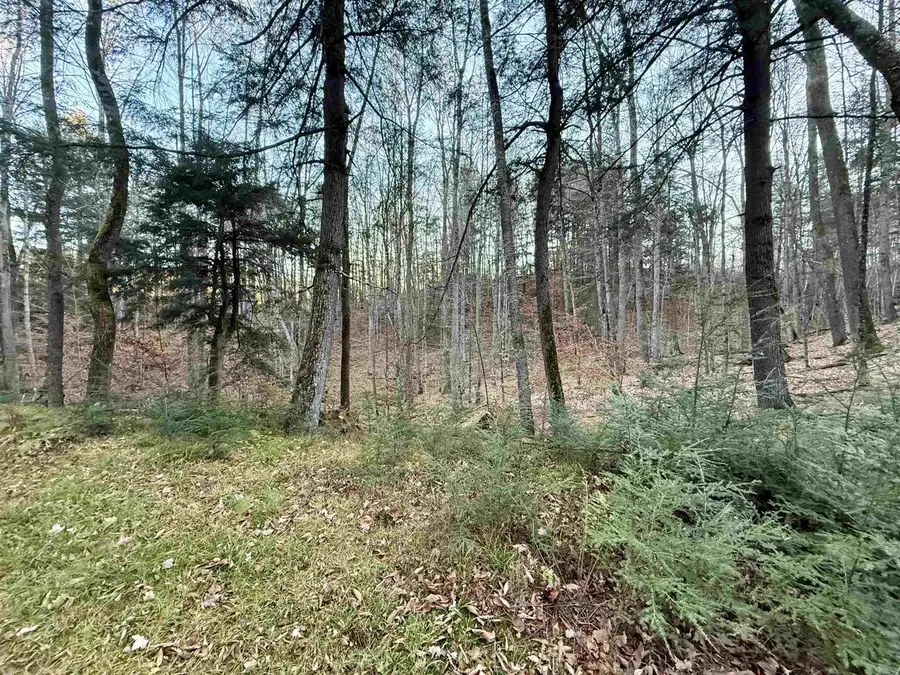 17284 LITTLE ARCHIE LANE, Townsend, WI 54175 - Image #2