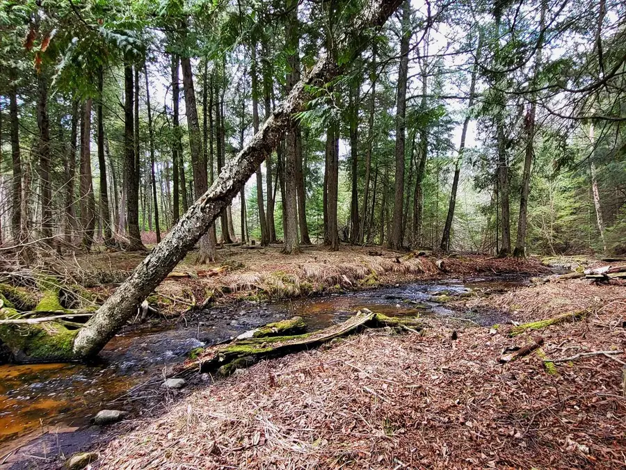 N6804 STATE HIGHWAY M35, Stephenson, MI 49887 - Image #3