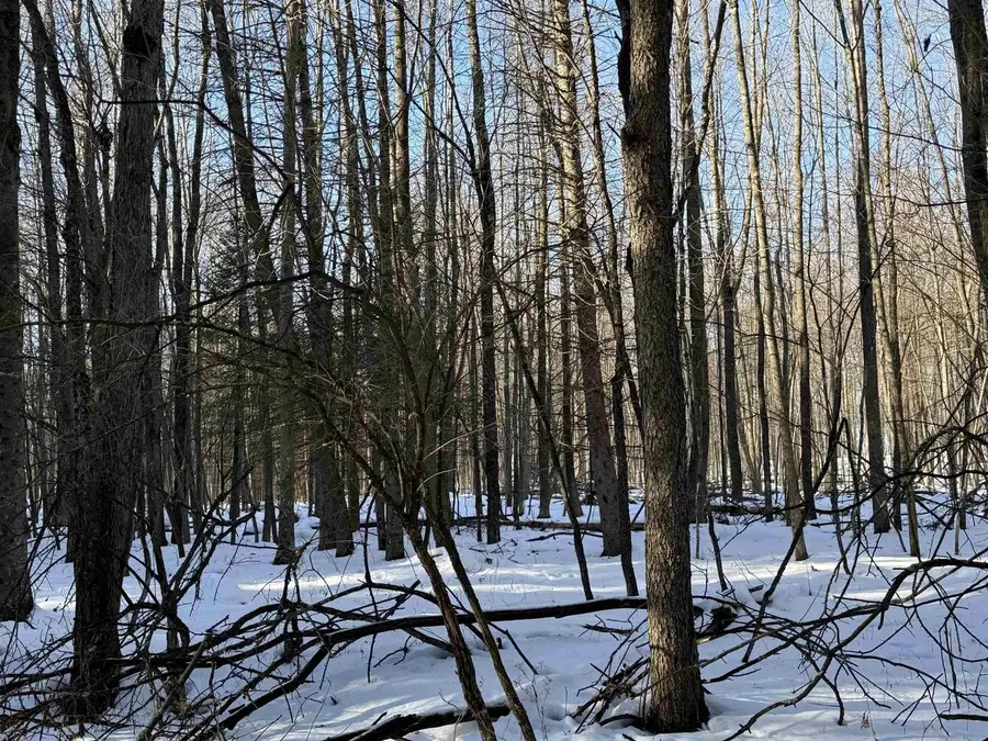 KASTNER ROAD, Tigerton, WI 54486 - Image #2