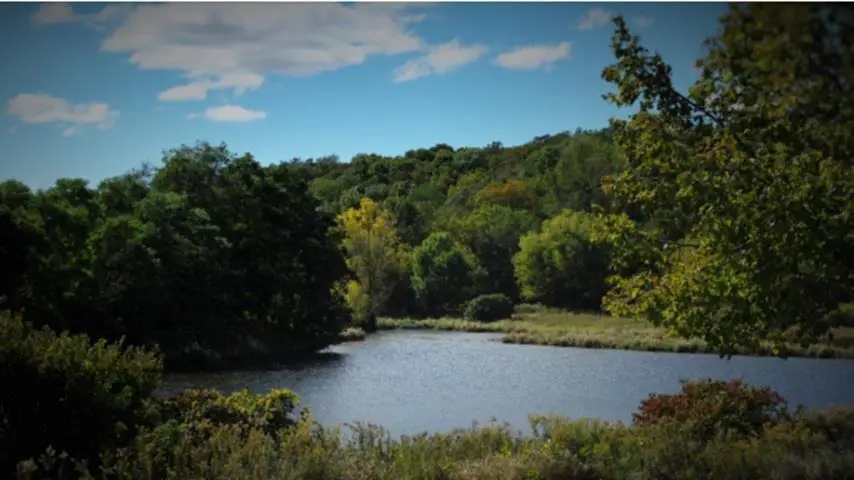 W16393 CRANE LAKE LANE, Athelstane, WI 54104 - Image #1