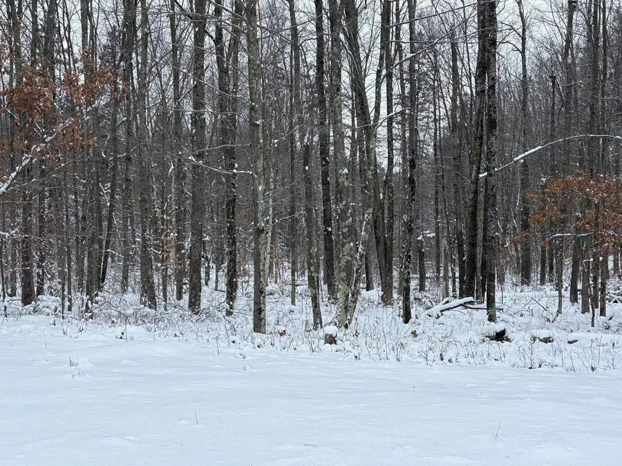 W13470 EAGLE RIVER ROAD, Silver Cliff, WI 54104 - Image #2