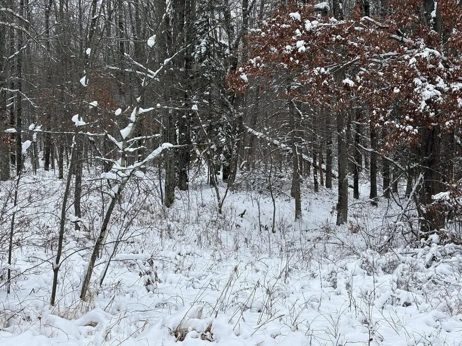 W13470 EAGLE RIVER ROAD, Silver Cliff, WI 54104 - Image #3