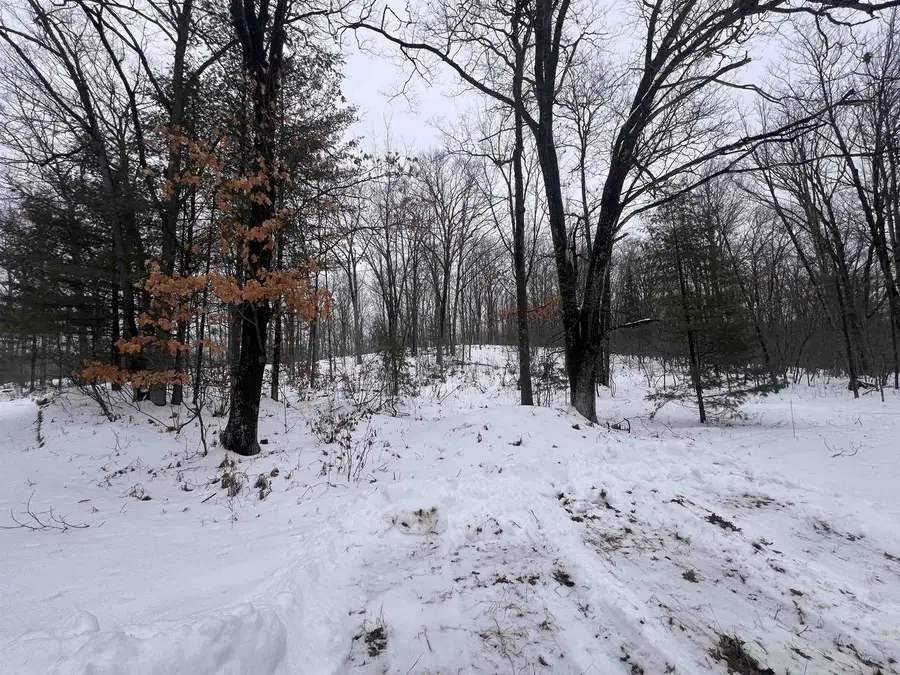 NEJEDLO LANE, Wausaukee, WI 54177 - Image #2