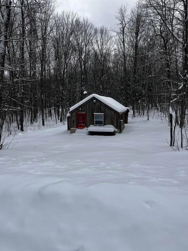 11505 SHANNON ROAD, Tipler, WI 54542 - Image #1