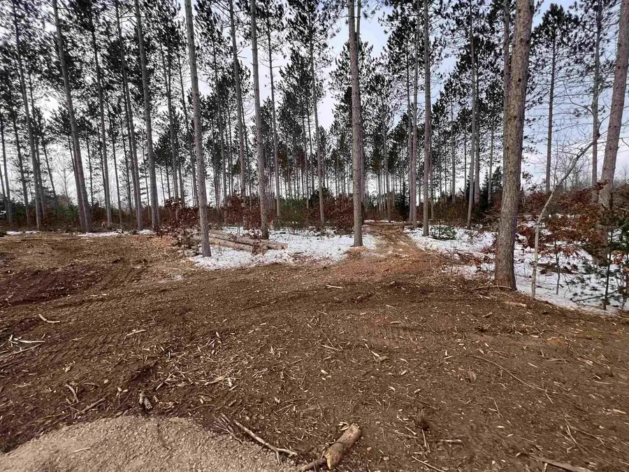 COUNTY X ROAD, Crivitz, WI 54114 - Image #3