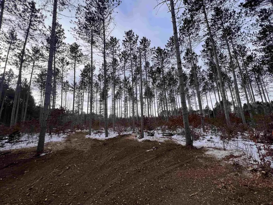 COUNTY X ROAD, Crivitz, WI 54114 - #3