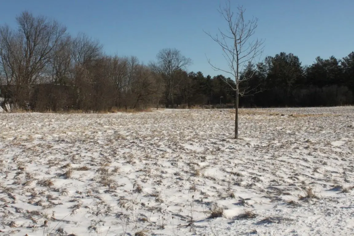 1005 MILL POND CIRCLE, Weyauwega, WI 54983 - #1