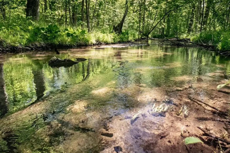 CHICAGO ROAD, Redgranite, WI 54970 - #2