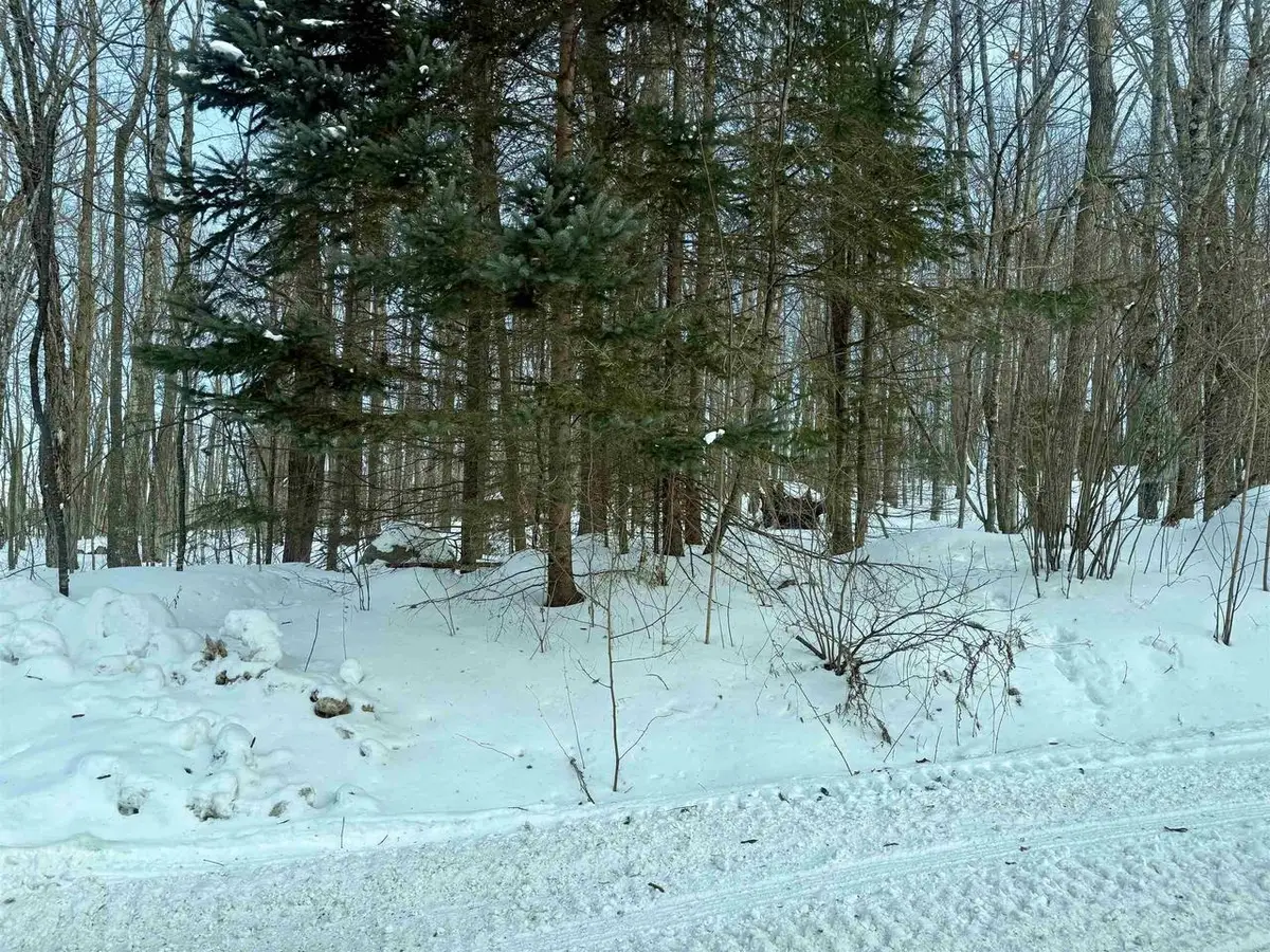 JONES AVENUE, Wabeno, WI 54566 - Image #1