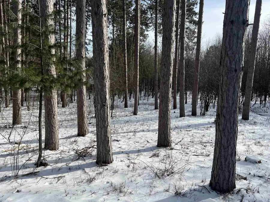 E2446 E LAMPLIGHTER LANE, Waupaca, WI 54981 - Image #3