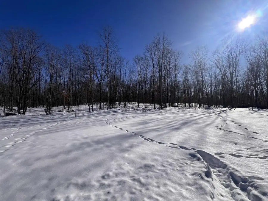 RHETT LANE, Wausaukee, WI 54177 - #3