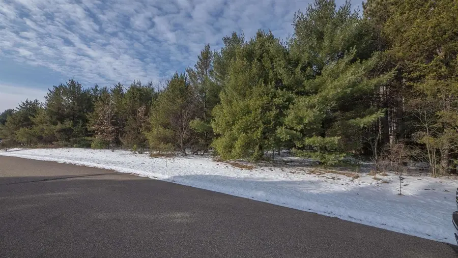 CONGDON DRIVE, Coloma, WI 54930 - #3