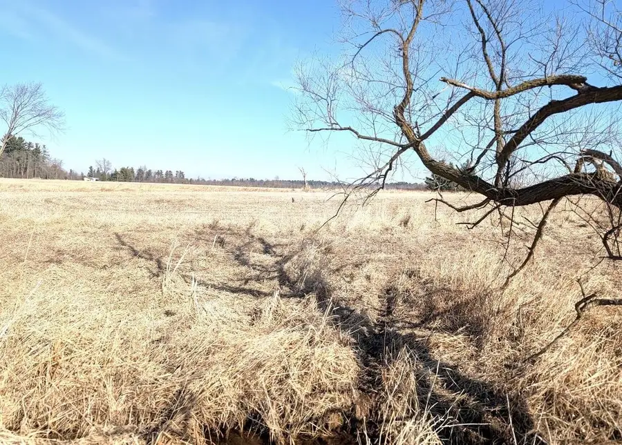 ALP DRIVE, Pine River, WI 54965 - #3