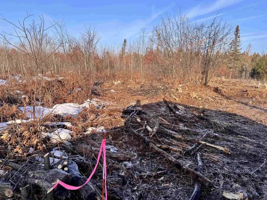 PARKWAY ROAD, Crivitz, WI 54114 - #2