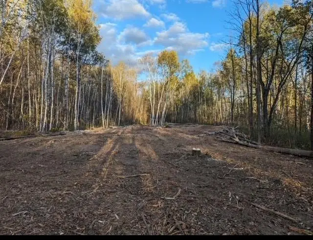 PIONEER DRIVE, Abrams, WI 54101 - #3