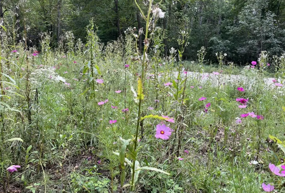 EVERGREEN DRIVE, Wautoma, WI 54982 - #1