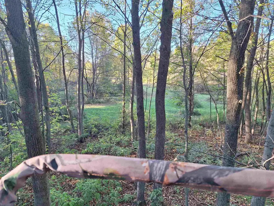 CTY RD A, Fremont, WI 54940 - #3