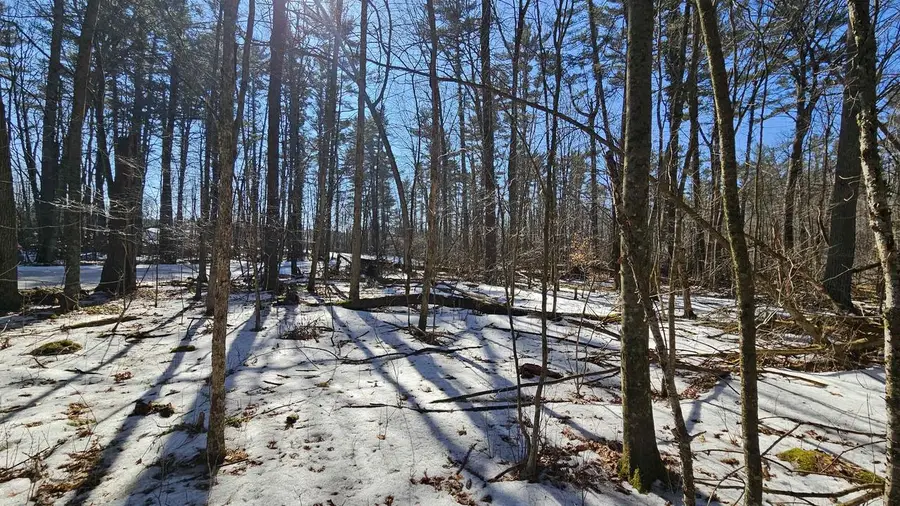 W2319 MEDICINE HAT TRAIL, Keshena, WI 54135 - #2