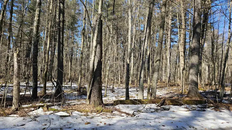 W2319 MEDICINE HAT TRAIL, Keshena, WI 54135 - #3