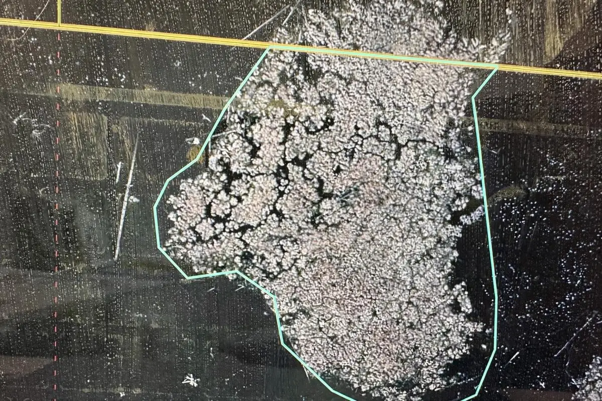 ISLAND DRIVE, Iola, WI 54945 - #1