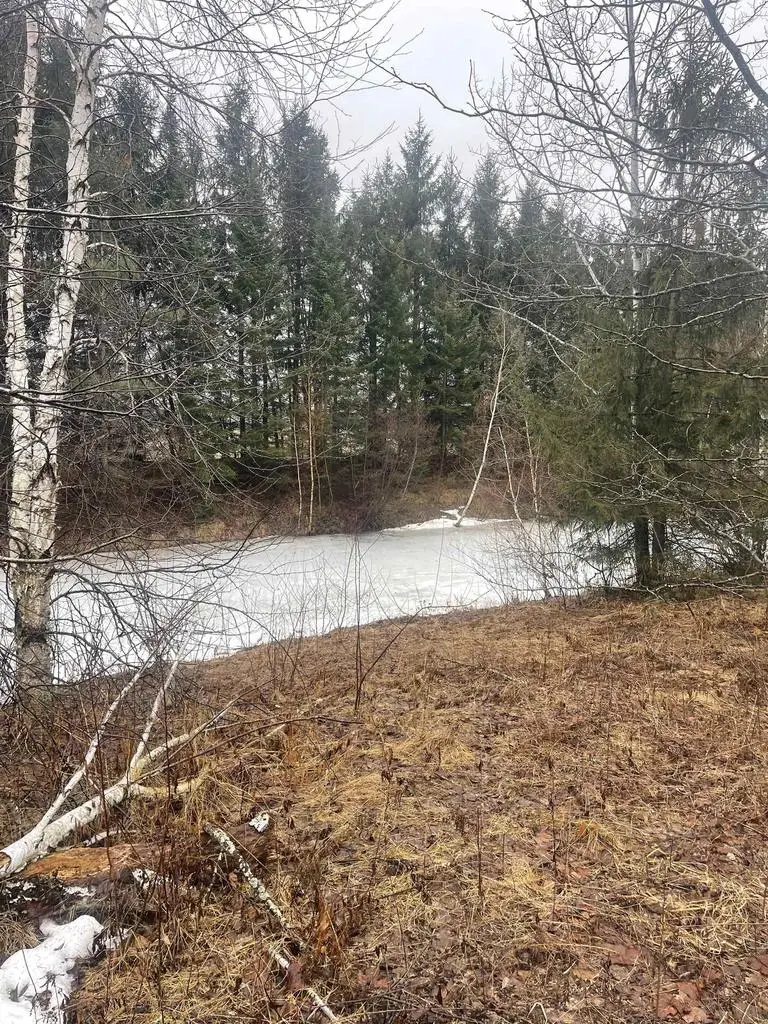 N4664 ESQUINA COURT, Krakow, WI 54137 - #2