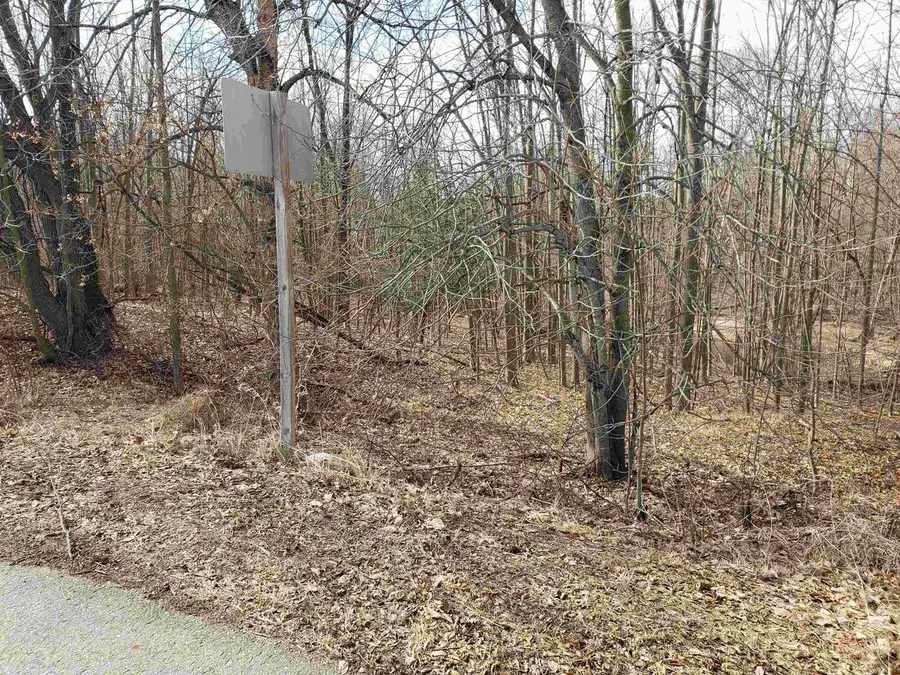 BIALOZYNSKI ROAD, Pulaski, WI 54162 - #2