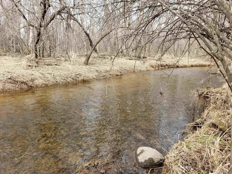 BIALOZYNSKI ROAD, Pulaski, WI 54162 - #3