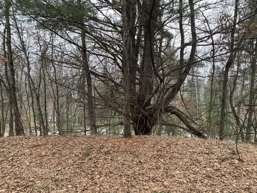 AIRPORT ROAD, Crivitz, WI 54114 - #2