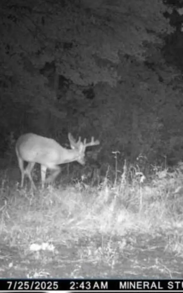 ELAND ROAD, Wittenberg, WI 54499 - #2