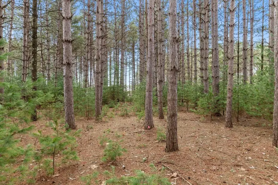 W6471 HIDDEN SPRINGS DRIVE, Neshkoro, WI 54960 - #3