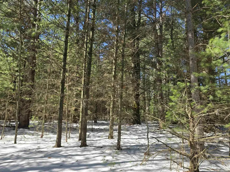 BUTTERCUP DRIVE, Wautoma, WI 54982 - #3