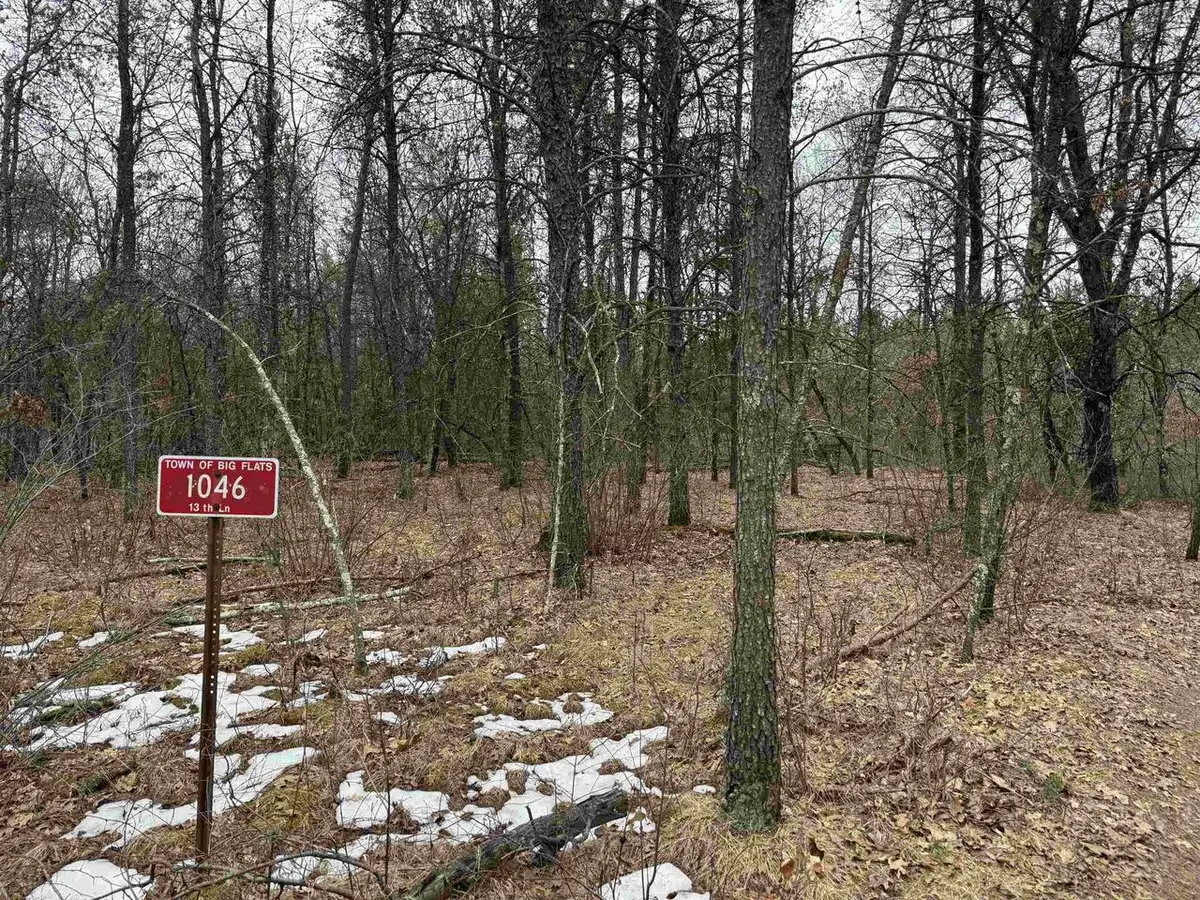 1046 13TH LANE, Arkdale, WI 54613 - #1