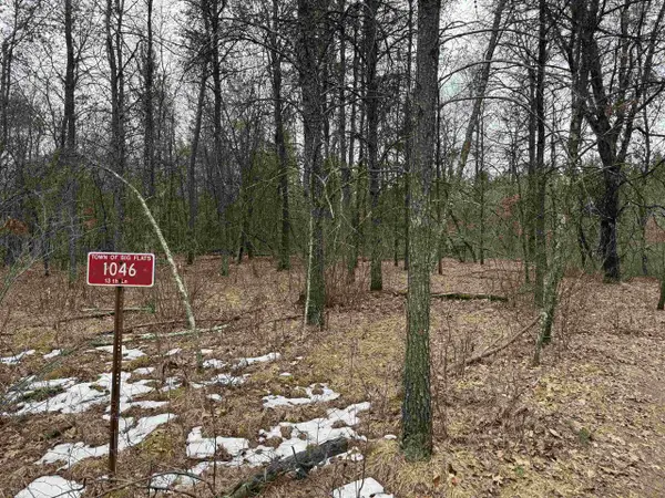 1046 13TH LANE, Arkdale, WI 54613