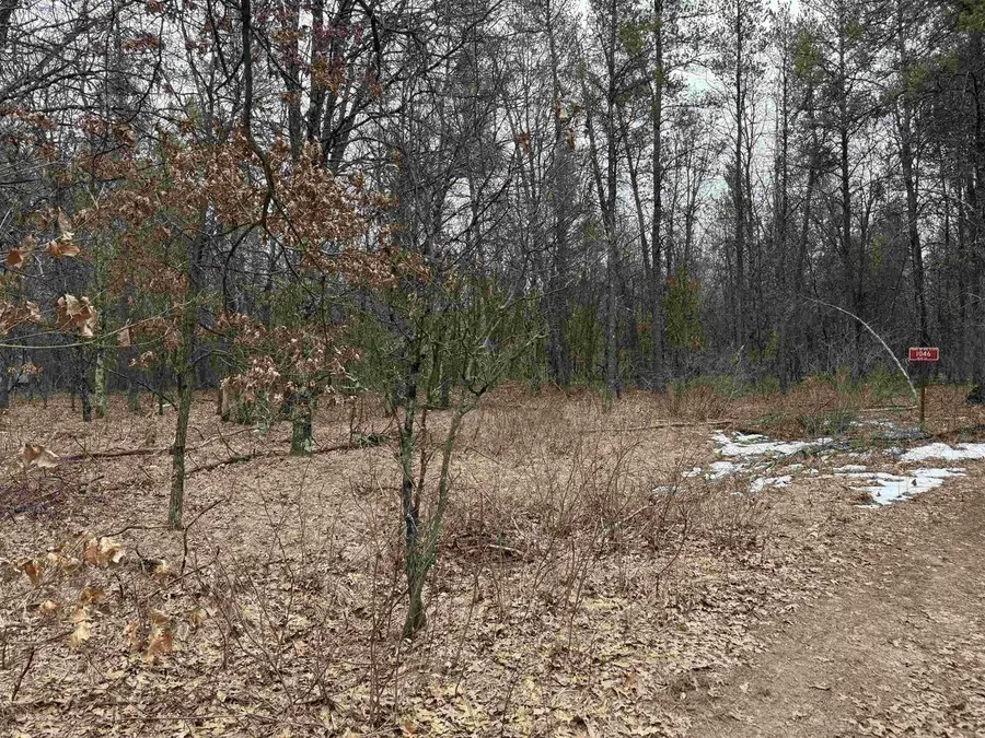 1046 13TH LANE, Arkdale, WI 54613 - #3